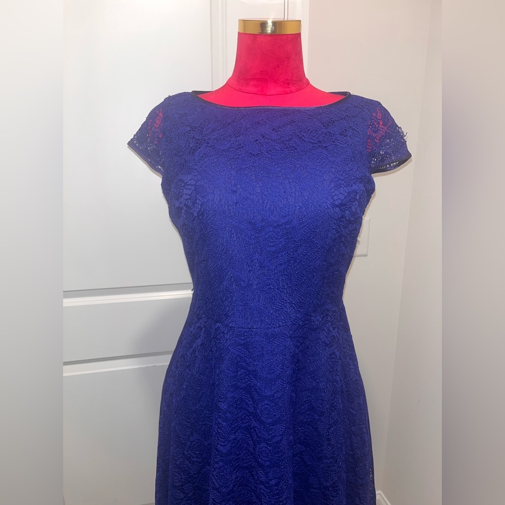 Kasper Royal Blue Lace Midi Dress with Cap Sleeves - Picture 6 of 9